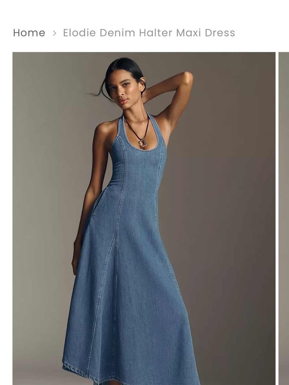 Elodie Denim Halter Maxi Dress - Blue - Picture 1 of 7